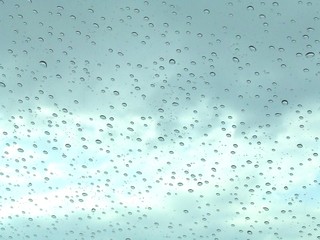 raindrops up close
