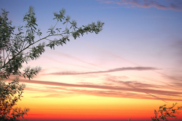 cannes lever de soleil