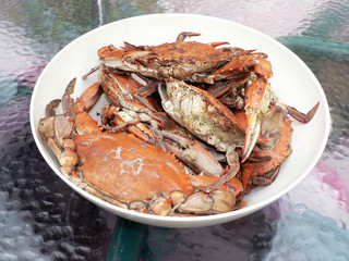 crab - cooked blue crabs in bowl