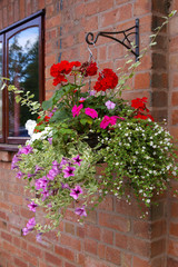 hanging basket on wall © david hughes