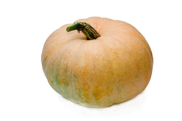 large yellow pumpkin