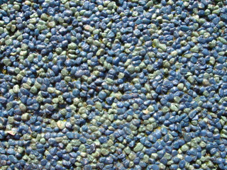 bubbles texture