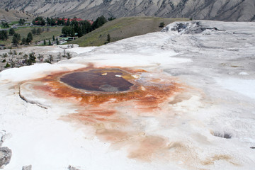 hot springs at yellowstone