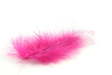 pink feather