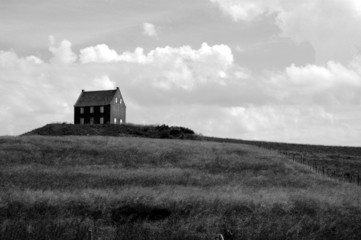 une maison isolée dans un champs, house