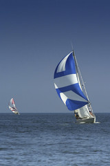 sailing. the winner and losed