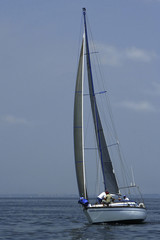 Fototapeta premium regatta