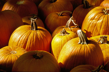 pumpkins