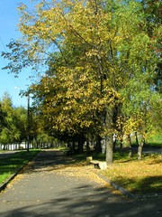 Naklejka premium autumn in the city