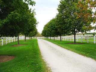 country road