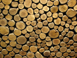 firewood