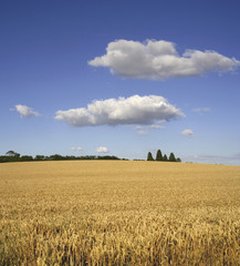 farmland warwickshire