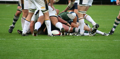 rugby