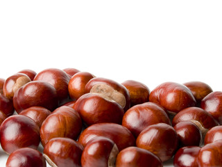 chestnut