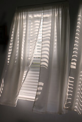 window of opportunity