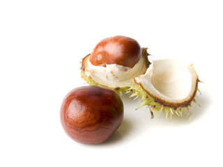 two chestnuts