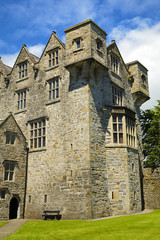 irish castel