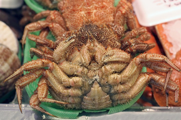 crab detail