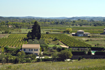 paysage de campagne