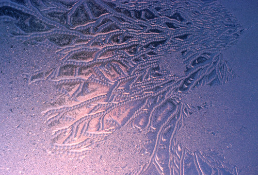 morning frost on window closeup
