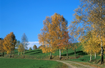 herbst-stimmung