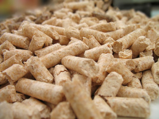 wood pellets close-up 2