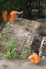 monks