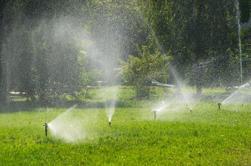 irrigation