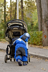 Obraz premium after drizzling rain (13)