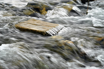 eau vive