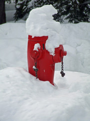 snowy fire hydrant