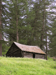 0543-cabane en forêt