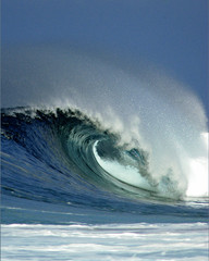 wave at backdoor hawaii