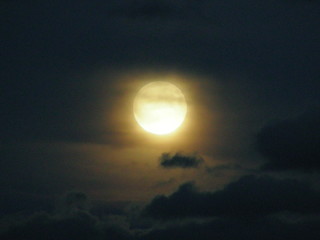 Obraz premium mondnacht