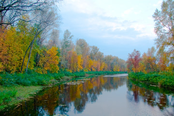 colourful autumn landscape of river and bright tre
