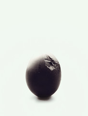 black open egg