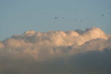flying