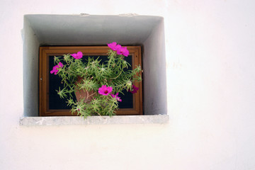 greece : village window