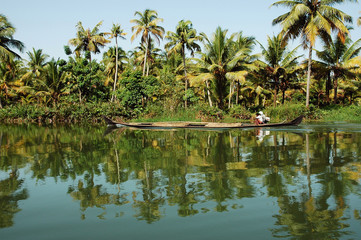 india, kerala: landscape