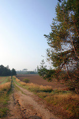 Fototapeta na wymiar road through the autumn countryside