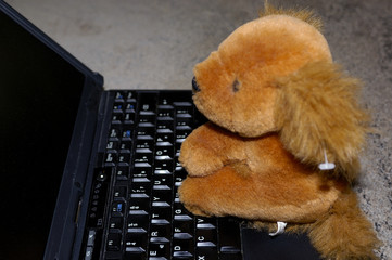 teddy bear and laptop