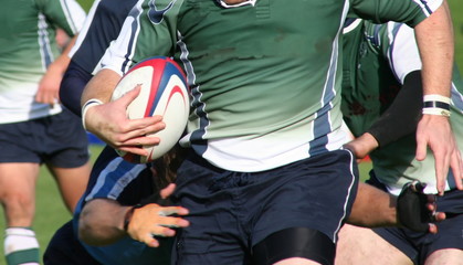 rugby union