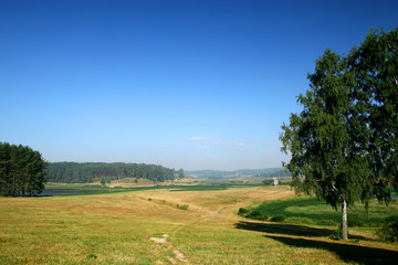 birch (manor mihailovskoe)