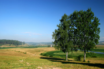 mill (manor mihailovskoe)