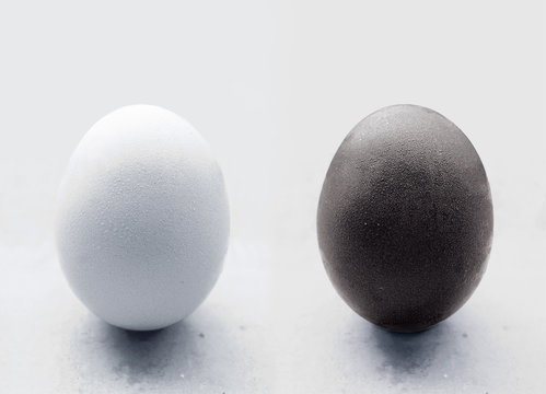 egg against racism
