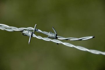 barb wire