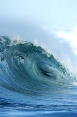 Fotobehang hollow wave © NorthShoreSurfPhotos
