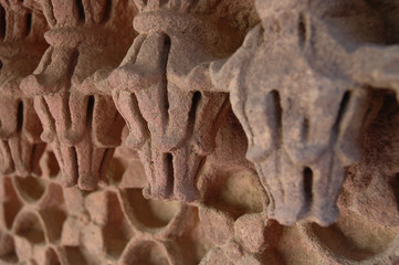 Close up of a sandstone carving at a fort in India.