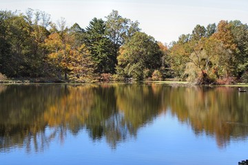 autumn reflection