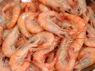 boiled shrimp